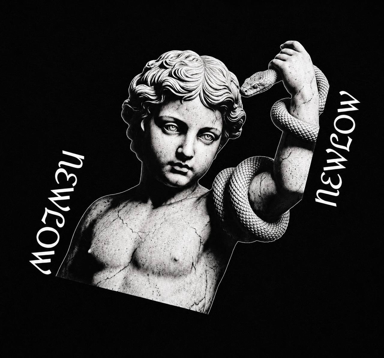 NEWLOW - Venom Cropped Tee